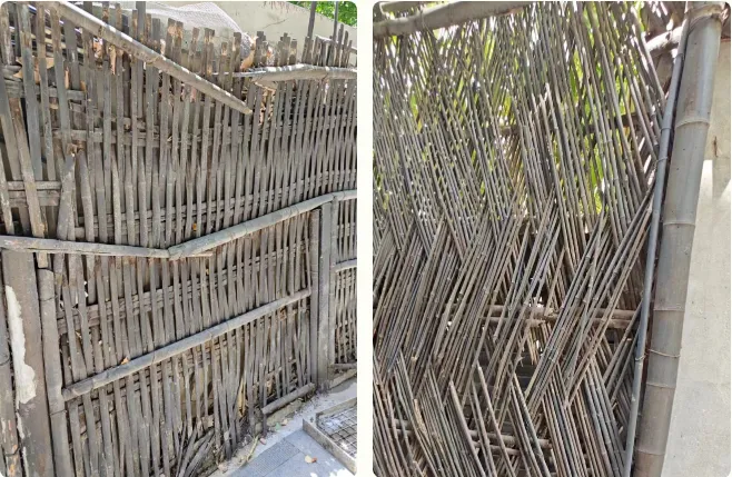 重焕光华，揭秘周公馆修缮的背后故事（下）