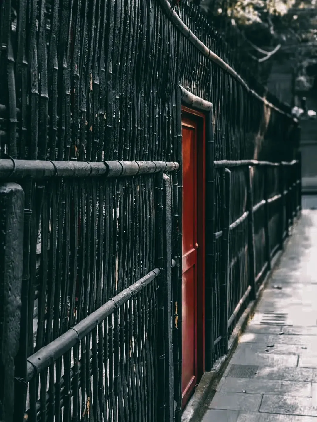 重焕光华，揭秘周公馆修缮的背后故事（下）