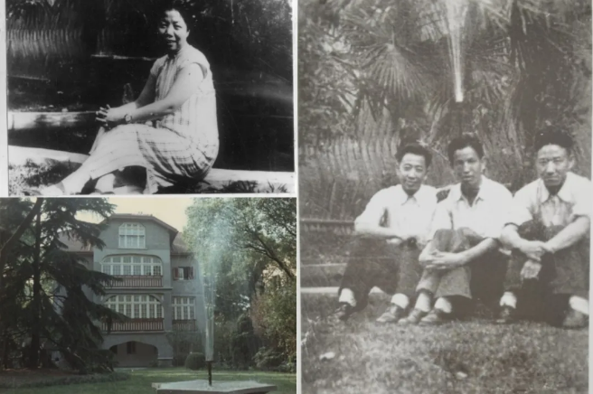 重焕光华，揭秘周公馆修缮的背后故事（下）